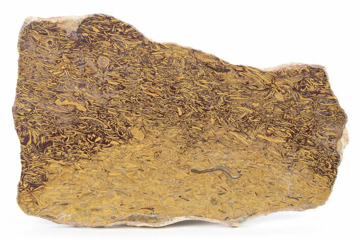 Polished Miriam Stone Slab - India #248051